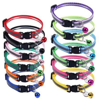 Collier pour Chihuahua avec grelots de plusieurs couleurs. Elégant, pour offrir confort et sécurité à votre petit chien ou chat