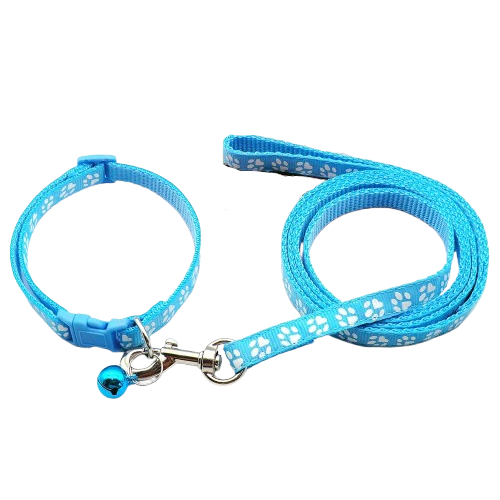 Collier pour Chihuahua bleu avec laisse. Elégant, pour offrir confort et sécurité à votre petit chien ou chat