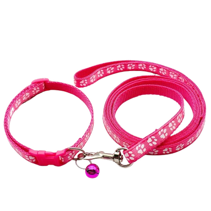 Collier pour Chihuahua rose avec laisse. Elégant, pour offrir confort et sécurité à votre petit chien ou chat
