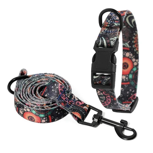 Collier pour Chihuahua en tissu motifs colorés et une laisse. Tendance, pour offrir confort et sécurité à votre petit chien ou chat