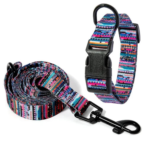 Collier pour Chihuahua en tissu motifs colorés et une laisse. Tendance, pour offrir confort et sécurité à votre petit chien ou chat