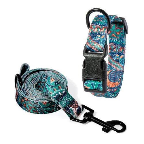 Collier pour Chihuahua en tissu motifs colorés et une laisse. Tendance, pour offrir confort et sécurité à votre petit chien ou chat