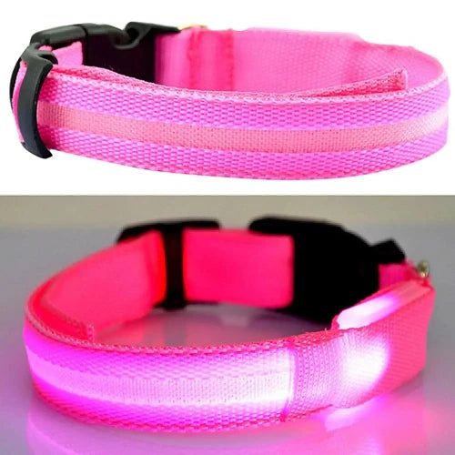 Collier pour Chihuahua rose avec éclairage LED. Tendance, pour offrir confort et sécurité à votre petit chien ou chat