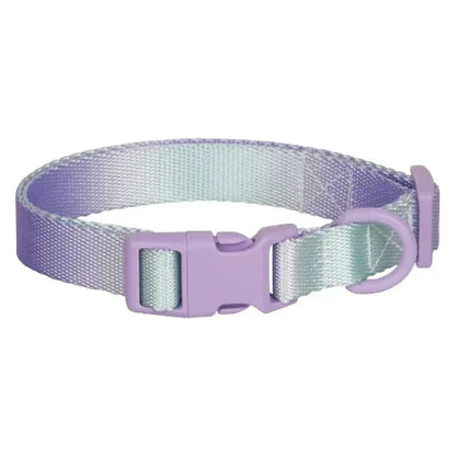 Collier pour Chihuahua en tissu violet dégradé avec attache. Tendance, pour offrir confort et sécurité à votre petit chien ou chat