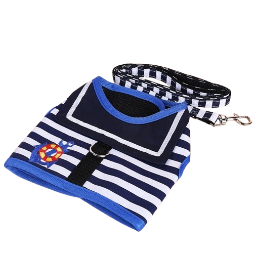 Chihuahua-Geschirr: Blaue Marine-Leine + Leine