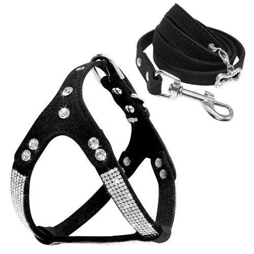 Collier pour Chihuahua : Harnais noir et paillettes avec une laisse. Tendance, pour offrir confort et sécurité à votre petit chien ou chat