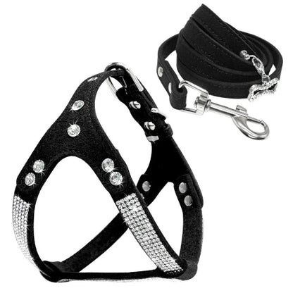 Collier pour Chihuahua : Harnais noir et paillettes avec une laisse. Tendance, pour offrir confort et sécurité à votre petit chien ou chat