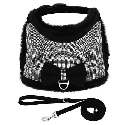 Collier pour Chihuahua : Harnais noir et paillettes avec sa laisse. Tendance, pour offrir confort et sécurité à votre petit chien ou chat