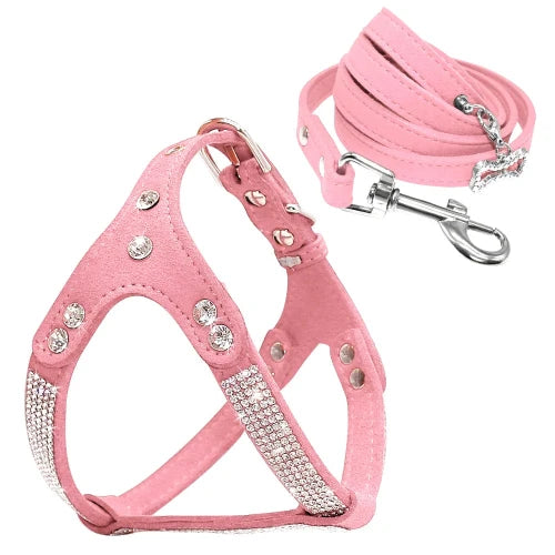 Chihuahua-Geschirr: Rosa Strasssteine ​​+ Leine