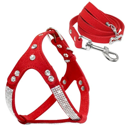 Collier pour Chihuahua : Harnais rouge et paillettes avec une laisse. Tendance, pour offrir confort et sécurité à votre petit chien ou chat