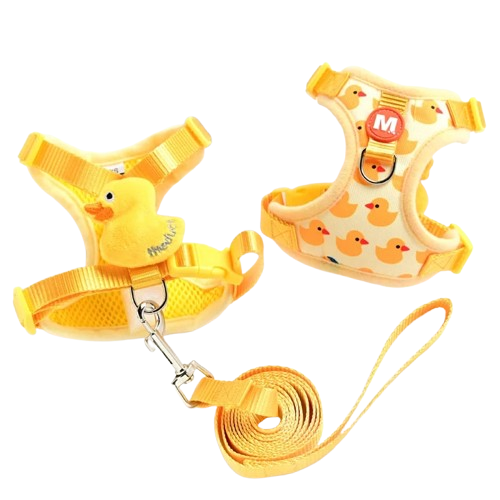 Collier pour Chihuahua avec harnais et laisse jaune motifs canards. Elégant, pour offrir confort et sécurité à votre petit chien ou chat