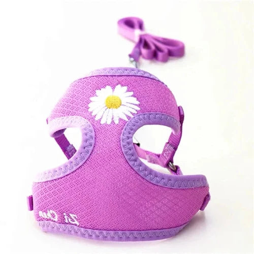 Harnais Chihuahua : motif Fleurs + Laisse