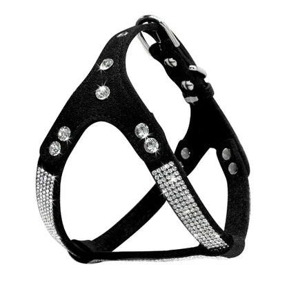 Collier pour Chihuahua : Harnais noir et paillettes. Tendance, pour offrir confort et sécurité à votre petit chien ou chat