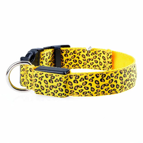 Collier Chihuahua : LED Jaune motif Léopard