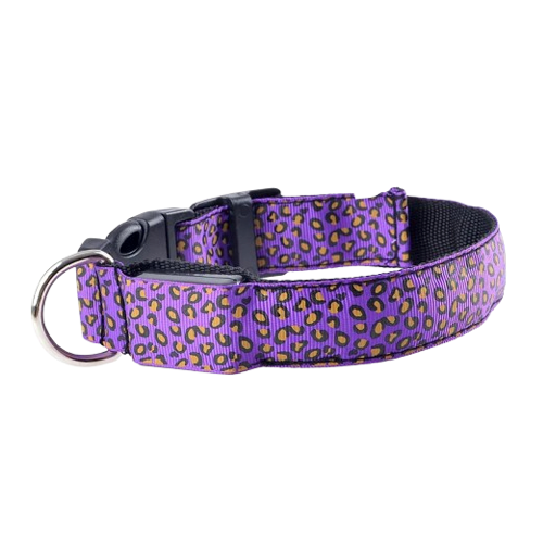 Collier Chihuahua : LED Violet motif Léopard