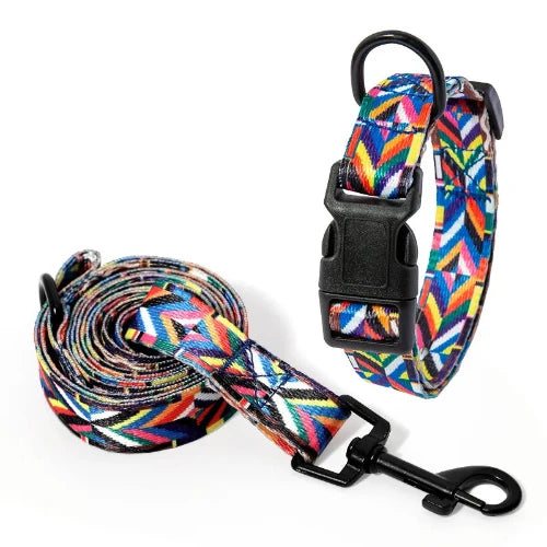 Collier pour Chihuahua avec une laisse aux motifs colorés. Tendance, pour offrir confort et sécurité à votre petit chien ou chat