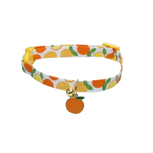 Collier pour Chihuahua blanc avec pendentif motif Orange. Tendance, pour offrir confort et sécurité à votre petit chien ou chat