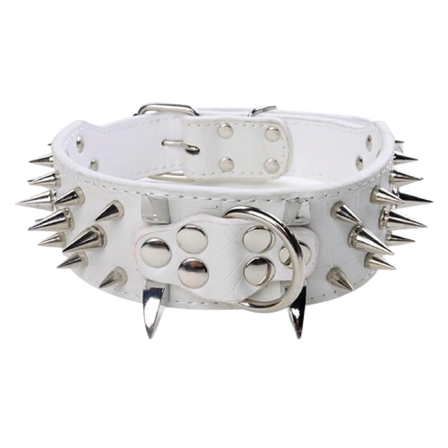 Collier pour Chihuahua style punk blanc en cuir avec des pointes en argent. Élégant, pour offrir confort et sécurité à votre petit chien ou chat