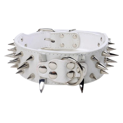Collier pour Chihuahua style punk blanc en cuir avec des pointes en argent. Élégant, pour offrir confort et sécurité à votre petit chien ou chat