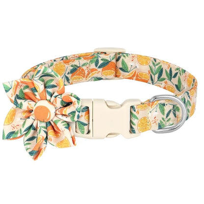 Collier pour Chihuahua en tissu orange avec motifs fleurs. Tendance, pour offrir confort et sécurité à votre petit chien ou chat