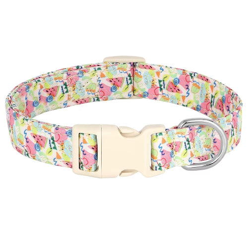 Collier Chihuahua : Motifs colorés Rose