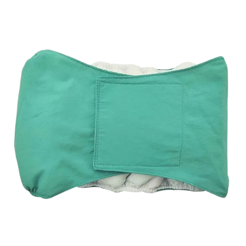 Accessoire pour Chihuahua – Couche verte absorbante et confortable pour apprendre la propreté aux petits chiens ou chats