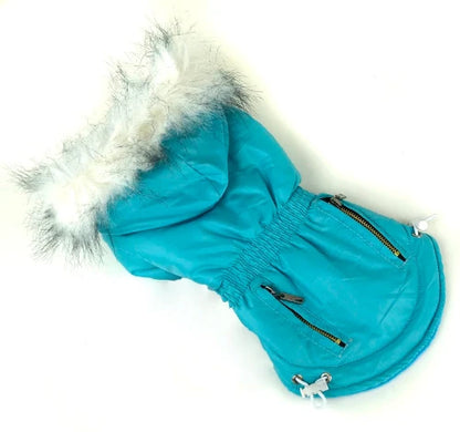 Manteau pour Chihuahua - Doudoune flashy bleue – Chaude et stylée, idéale pour garder votre petit chien ou chat au chaud