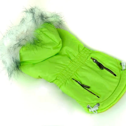 Manteau pour Chihuahua - Doudoune flashy verte – Chaude et stylée, idéale pour garder votre petit chien ou chat au chaud