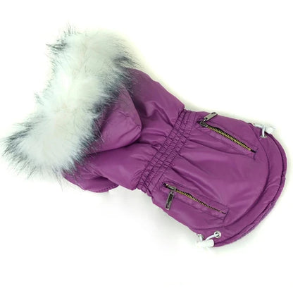 Manteau pour Chihuahua - Doudoune flashy violette – Chaude et stylée, idéale pour garder votre petit chien ou chat au chaud