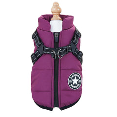 Chihuahua Coat: Harness Down Jacket