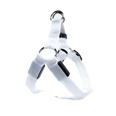 Harnais blanc lumineux LED pour petit chien. Réglable et confortable, convient aux petits chiens, chihuahuas, ou aux chats.