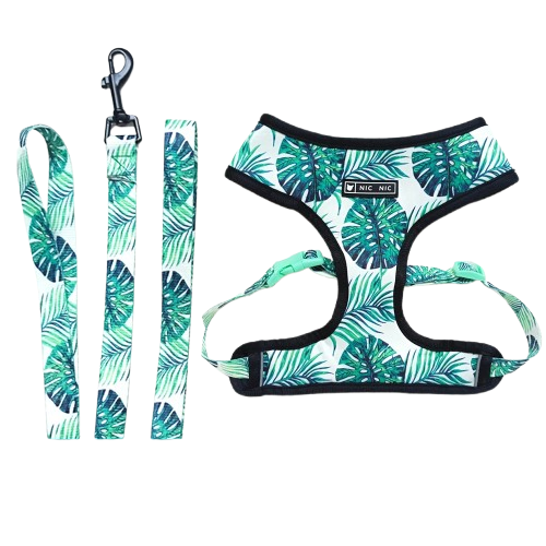 Harnais Chihuahua : Blanc motifs Feuilles + Laisse