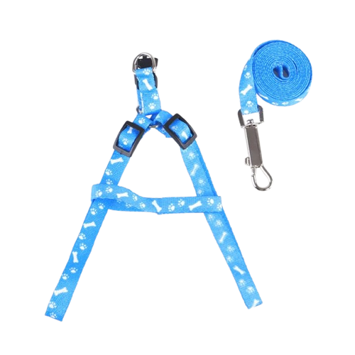 Harnais bleu clair aux motif os pour petit chien avec sa laisse assortie. Confortable, convient aux petits chiens, chihuahuas, ou aux chats.