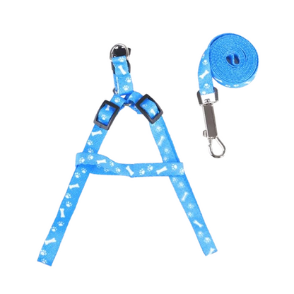 Harnais bleu clair aux motif os pour petit chien avec sa laisse assortie. Confortable, convient aux petits chiens, chihuahuas, ou aux chats.