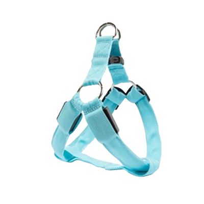 Harnais bleu lumineux LED pour petit chien. Réglable et confortable, convient aux petits chiens, chihuahuas, ou aux chats.