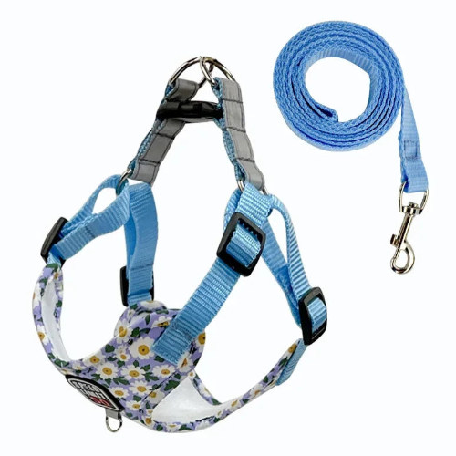 Harnais Chihuahua : Bleu avec motifs Pâquerettes
