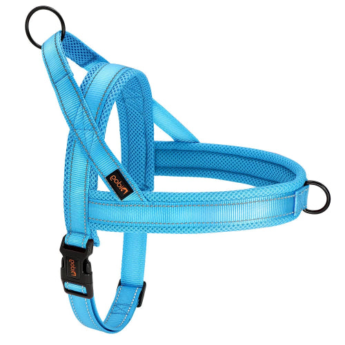 Harnais bleu résistant en nylon pour chiens. Confortable, convient aux petits chiens, chihuahuas, ou aux chats. Vendu dans la boutique « Mon Petit Chihuahua »
