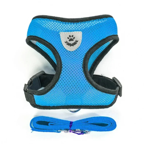 Harnais bleu et noir pour petit chien avec sa laisse assortie. Confortable, convient aux petits chiens, chihuahuas, ou aux chats.