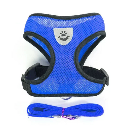 Harnais bleu et noir pour petit chien avec sa laisse assortie. Confortable, convient aux petits chiens, chihuahuas, ou aux chats.