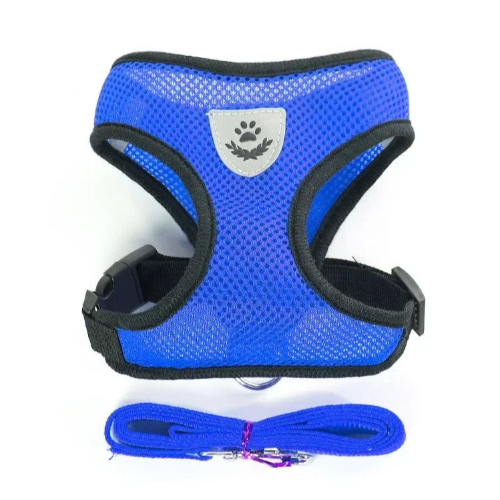 Harnais bleu et noir pour petit chien avec sa laisse assortie. Confortable, convient aux petits chiens, chihuahuas, ou aux chats.