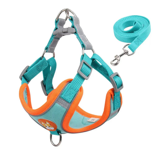 Harnais Chihuahua : Bleu et Orange + Laisse