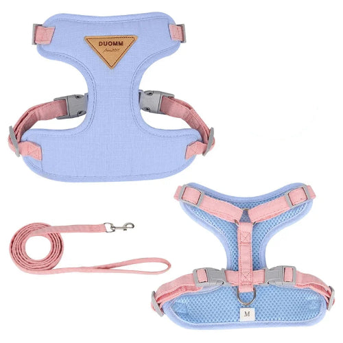 Harnais Chihuahua : Bleu et Rose + Laisse