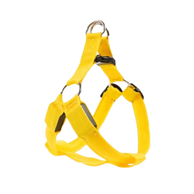 Harnais jaune lumineux LED pour petit chien. Réglable et confortable, convient aux petits chiens, chihuahuas, ou aux chats.