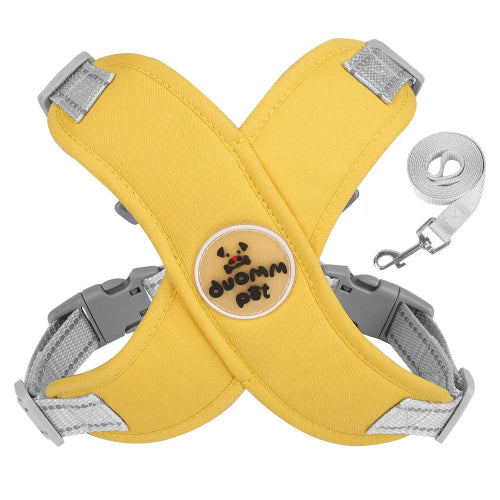 Harnais Chihuahua : Jaune et Gris + Laisse