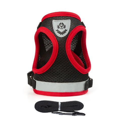 Harnais pour chiens noir réfléchissant. Vendu avec sa Laisse assortie. Confortable, convient aux petits chiens, chihuahuas, ou aux chats. Vendu dans la boutique « Mon Petit Chihuahua »