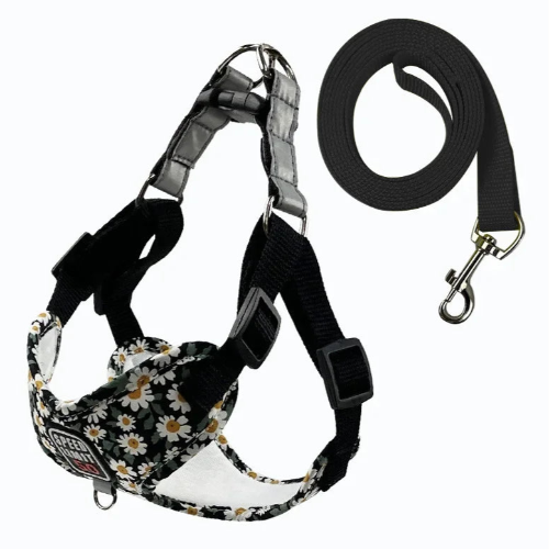 Harnais noir avec motifs fleurs Pâquerettes et sa laisse assortie pour petit chien. Réglable et confortable, convient aux petits chiens, chihuahuas, ou aux chats.