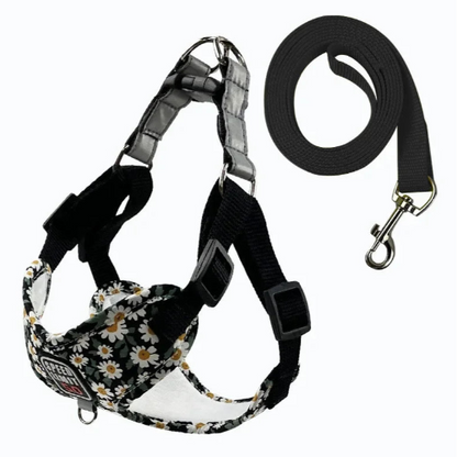 Harnais noir avec motifs fleurs Pâquerettes et sa laisse assortie pour petit chien. Réglable et confortable, convient aux petits chiens, chihuahuas, ou aux chats.