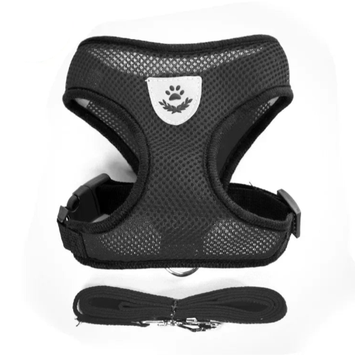 Harnais noir pour petit chien avec sa laisse assortie. Confortable, convient aux petits chiens, chihuahuas, ou aux chats.