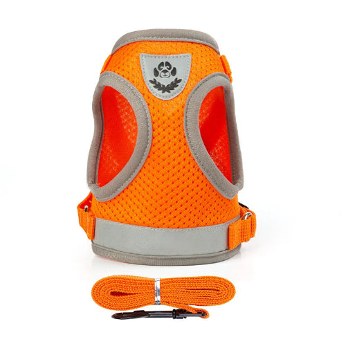 Harnais pour chiens orange réfléchissant. Vendu avec sa Laisse assortie. Confortable, convient aux petits chiens, chihuahuas, ou aux chats. Vendu dans la boutique « Mon Petit Chihuahua »