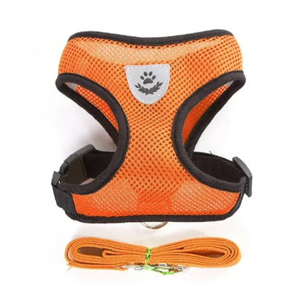 Harnais orange et noir pour petit chien avec sa laisse assortie. Confortable, convient aux petits chiens, chihuahuas, ou aux chats.
